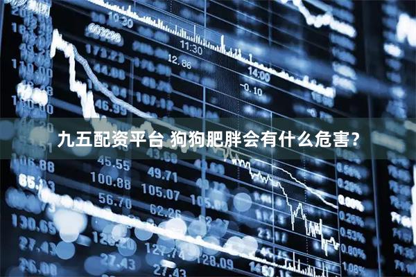 九五配资平台 狗狗肥胖会有什么危害?