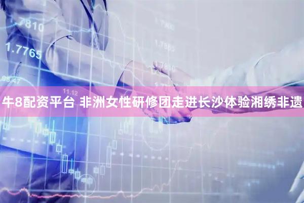 牛8配资平台 非洲女性研修团走进长沙体验湘绣非遗
