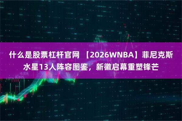 什么是股票杠杆官网 【2026WNBA】菲尼克斯水星13人阵容图鉴，新徽启幕重塑锋芒